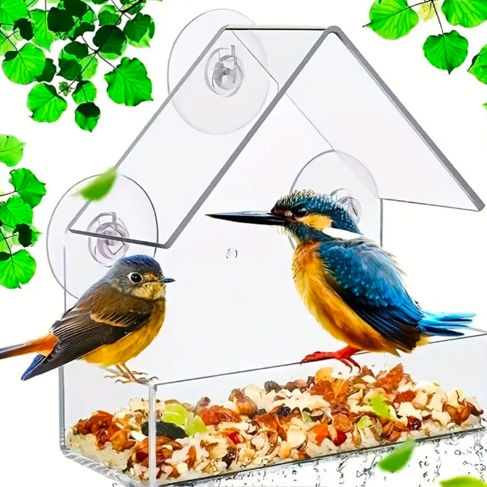 Clear Window Bird Feeder 🐦